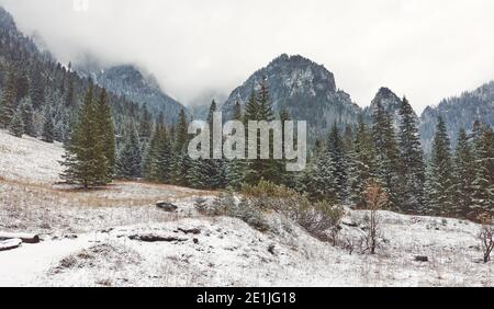 Winter Berglandschaft an einem verschneiten Tag. Stockfoto