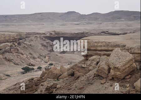 Buraydah, Saudi-Arabien. Januar 2021. Landschaft während der 5. Etappe der Dakar 2021 zwischen Riad und Al Qaisumah, in Saudi-Arabien am 7. Januar 2021 - Foto Eric Vargiolu/DPPI/LM Credit: Gruppo Editoriale LiveMedia/Alamy Live News Stockfoto