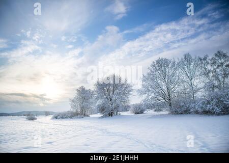 Winterwunderland im Waldviertel, Österreich Stockfoto
