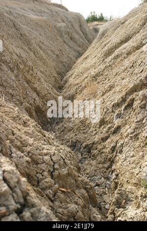 Buzau County, Rumänien. Landschaft, die von den Schlammvulkanen (vulcanii noroiosi) gebildet wird. Stockfoto