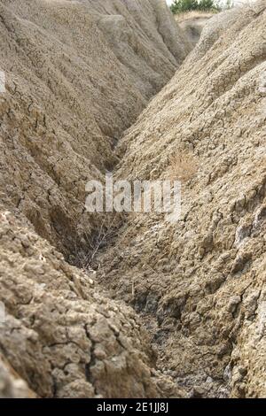 Buzau County, Rumänien. Landschaft, die von den Schlammvulkanen (vulcanii noroiosi) gebildet wird. Stockfoto