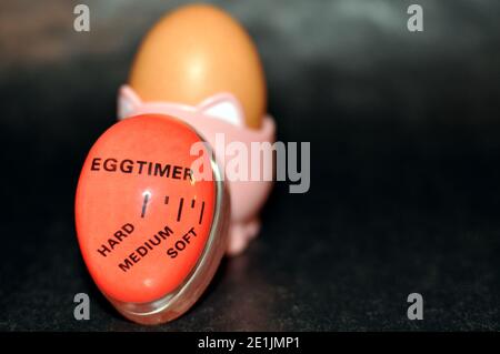 Hartgekochtes Ei in einem Ständer mit einem roten Eiertimer vorne auf schwarzem Hintergrund. Konzept zum Kochen des Eigelbs innen weich, mittel oder hart Stockfoto