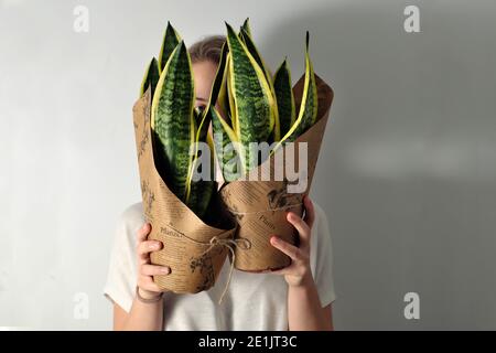 Junge Frau hält zwei succulet Hauspflanzen mit gelben und Grüne Blätter - eine neue Ergänzung zu ihrem Innengarten Stockfoto