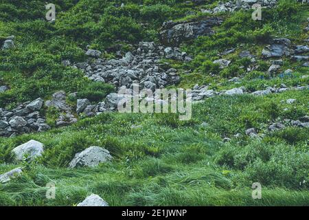 Hügel mit Felsen und grünem Gras bedeckt Stockfoto