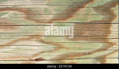 Holzhintergrund mit Plankenstruktur. Grüner Holzhintergrund mit Textur Stockfoto