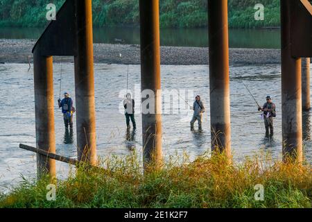 Vedder River, Chilliwack, British Columbia, Kanada Stockfoto