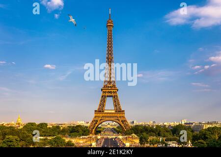 Eiffelturm im Sommer mit fliegenden Vögel, Paris, Frankreich. Malerischen Panorama der Eiffel Tower unter dem blauen Himmel. Blick auf den Eiffelturm in Paris, Fr Stockfoto