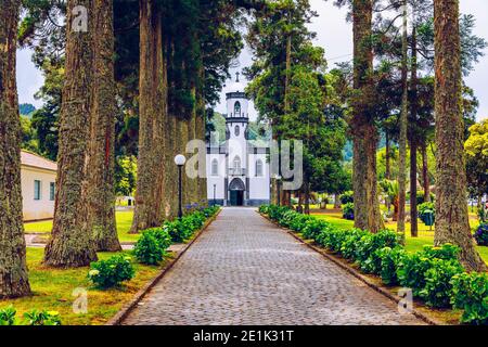 Kirche von Sao Nicolau (Saint Nicolas) mit einer Allee von hohen Bäumen und Hortensien Blumen in Sete cidades auf Sao Miguel Insel, Azoren, Portugal. Gemeinde Stockfoto