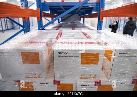 Die neue Produktionslinie für inaktivierte Coronavirus-Impfstoffe ist am 6. Januar 2021 in Peking, China, mit der Herstellung von COVID-19-Impfstoffen beschäftigt. (Foto von Top Photo/Sipa USA) Stockfoto