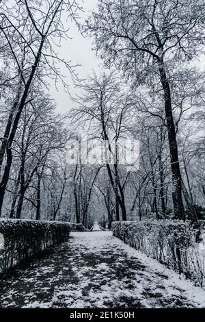 Madrid, Spanien - Januar 2021: Retiro Park in Madrid mit Schnee nach Filomena Sturm in der Stadt. Bäume und Pfad mit Schnee bedeckt. Stockfoto