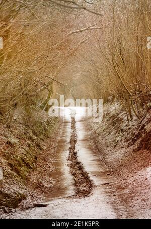 Eine Landstraße im Winter Stockfoto