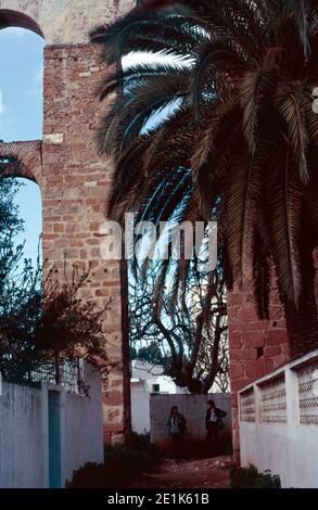 Das Zaghouan Aquädukt oder Aquädukt von Karthago mit einer Gesamtlänge von 132 km von den Quellen in Zaghouan bis Karthago (heute Tunis). Archivscan von einem Dia. April 1976. Stockfoto