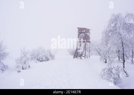 Jagdturm im verschneiten und nebligen Wald. Niemand Stockfoto