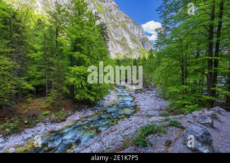 Cold Mountain Stream aus Wasserfall Savica, Fluss Sava in der Nähe von Lake Bohinj, Slowenische Alpen, Slowenien. Der Sava Bohinjka ist ein Oberlauf des Flusses Sava Stockfoto