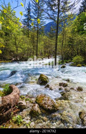 Cold Mountain Stream aus Wasserfall Savica, Fluss Sava in der Nähe von Lake Bohinj, Slowenische Alpen, Slowenien. Der Sava Bohinjka ist ein Oberlauf des Flusses Sava Stockfoto