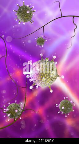Mikroskopische Ansicht des Coronavirus, eines Erregers, der die Atemwege angreift. Covid-19. Analyse und Test, 3d-Rendering. Virusinfektion. Impfstoff Stockfoto