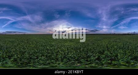 360 Grad Panorama Ansicht von Vollständige nahtlose sphärischen hdri Panorama 360 Grad Betrachtungswinkel zwischen Feldern im Sommer Sonnenuntergang am Abend mit tollen Blau Rosa Rot Wolken in equirectangula