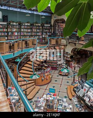 El Pendulo Cafeteria und Buchhandlung, Polanco, Mexiko-Stadt, Mexiko Stockfoto