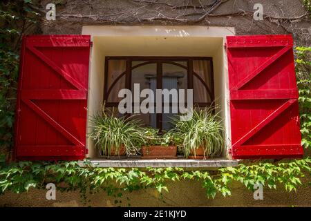 Rote Fenster und Spinnenpflanzen auf einem Fensterbrett In einem typischen französischen Bauernhaus in der Provence Stockfoto