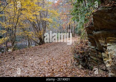 Herbst in den Great Smoky Mountains mit einer Straße, auf der Sie die nächste interessante Geologie erkunden können Stockfoto