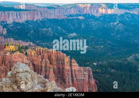 Rote Felsformationen und Pinienwald, Luftaufnahme, Bryce Canyon, Utah Stockfoto