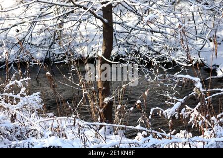 Winterwunderland nach Schneefall Stockfoto