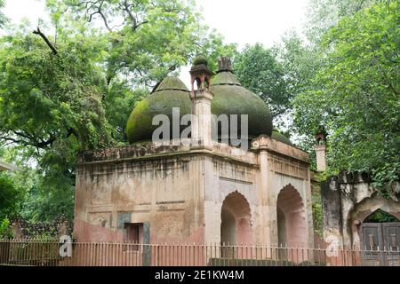 Islamische Gräber mit Moos im Qutub-Komplex. Qutub Komplex in Delhi, ist ein UNESCO-Weltkulturerbe. Qutub Minar ist das höchste Steinminarett der Welt Stockfoto