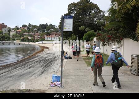 Buschwanderer wandern entlang Double Bay Beach, Beach Street, Double Bay NSW 2028 Stockfoto