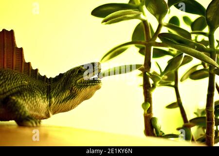 SPIELEN MIT DINOSAURIER SPIELZEUG Stockfoto