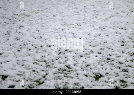 Frischer weißer Schnee in einem Wintergarten, der das Grün bedeckt Rasen in Vollformat-Hintergrundansicht für saisonale Motive Stockfoto