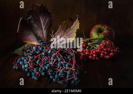 Traube aus wilden Trauben und Viburnum-Beeren auf dunklem Holzgrund. Herbststil. Stockfoto