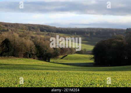 Winteransicht in Richtung Kingswood von der Nähe von Saint Cosmos und Saint Damian Kirche, Challock, Kent, England Stockfoto