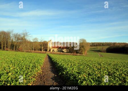 Winteransicht über Felder nach Saint Cosmos und Saint Damian Kirche, Challock, Kent, England Stockfoto