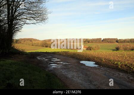 Winteransicht über Felder nach Saint Cosmos und Saint Damian Kirche, Challock, Kent, England Stockfoto