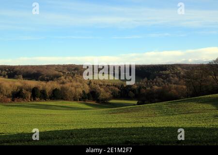 Winteransicht in Richtung Kingswood von der Nähe von Saint Cosmos und Saint Damian Kirche, Challock, Kent, England Stockfoto