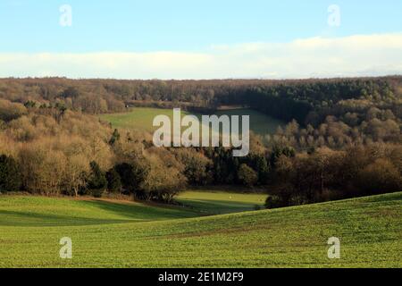 Winteransicht in Richtung Kingswood von der Nähe von Saint Cosmos und Saint Damian Kirche, Challock, Kent, England Stockfoto