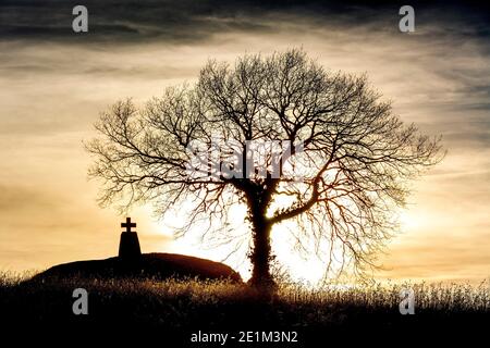 Silhouette eines alten Baumes vor Sonnenuntergang mit einem verwitterten Kreuz auf einem Hügel, Frankreich Stockfoto