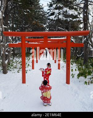 Sapporo Fushimi Inari-Schrein, Hokkaido, Japan. Stockfoto