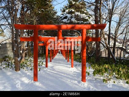 Sapporo Fushimi Inari-Schrein, Hokkaido, Japan. Stockfoto