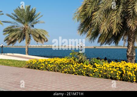 Kalba Corniche in Sharjah Vereinigte Arabische Emirate (VAE) an einem schönen Tag zu Fuß entlang des Golfs von Oman in der Nähe der Stadt. Mit schönen gelben Blumen Stockfoto