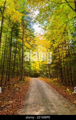 Three Brothers Wasserfalls Conservation Area Kinmount Ontario Kanada im Herbst Stockfoto