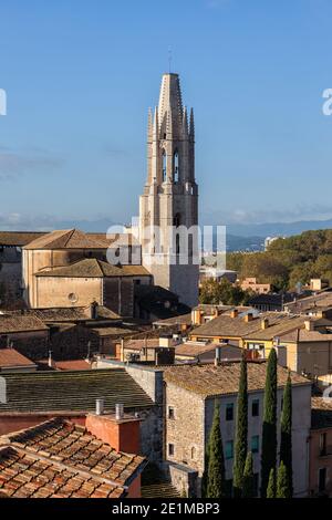 Altstadt von Girona mit der Basilika Sant Feliu Glockenturm, Katalonien, Spanien Stockfoto