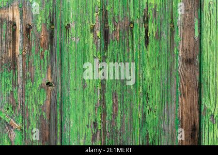 Ein abstrakter horizontaler Hintergrund aus alter Holztür mit Schälung Grüne Farbe Stockfoto
