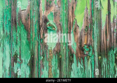Ein abstrakter horizontaler Hintergrund aus alter Holztür mit Schälung Grüne Farbe Stockfoto