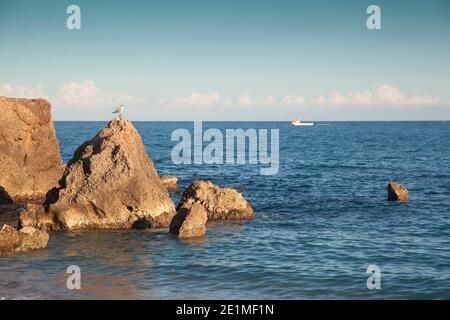 Ein schöner sonniger Tag am felsigen Strand mit eingefangen Ein klarer Horizont mit einem Schiff und einer Möwe Bei der Kamera auf einem Felsen Stockfoto