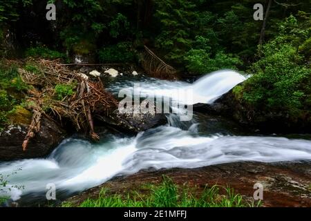 Kurvige klare Bergbach mit klarem Wasser zwischen grünen Pflanzen Stockfoto