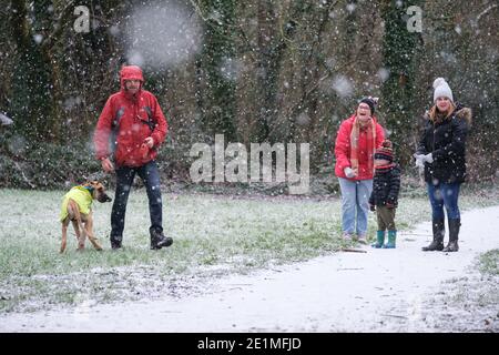 Ein Mann, der mit seinen Hunden geht, hält an, um im Schnee zu plaudern. Stockfoto