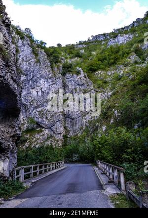 Brücke und Straße durch felsigen erodierten Gelände, umgeben von Felsen und üppiger Vegetation am Ufer, Sohodol Gorges (Cheile Sohodolului), Valcan Stockfoto