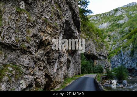 Straße durch felsigen erodierten Gelände, umgeben von Felsen und üppiger Vegetation an den Ufern, Sohodol Gorges (Cheile Sohodolului), Valcan Berge, Stockfoto