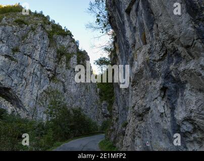 Straße durch felsigen erodierten Gelände, umgeben von Felsen und üppiger Vegetation an den Ufern, Sohodol Gorges (Cheile Sohodolului), Valcan Berge, Stockfoto